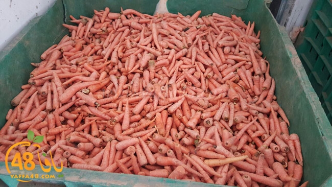 trod ramla kheri (3).jpg